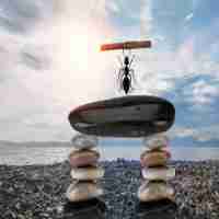 c语​言​网﻿课‌资﻿源​